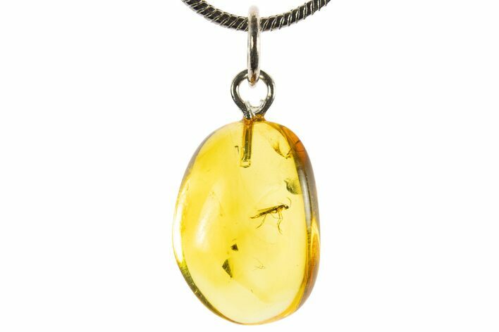 Polished Baltic Amber Pendant (Necklace) - Contains Fly! #339543